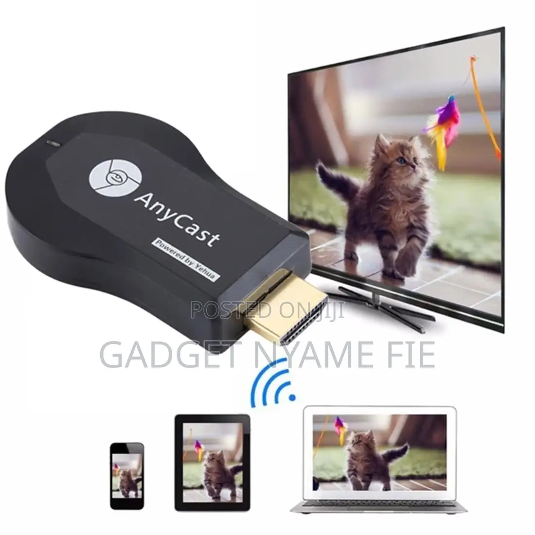 M12 Plus Anycast