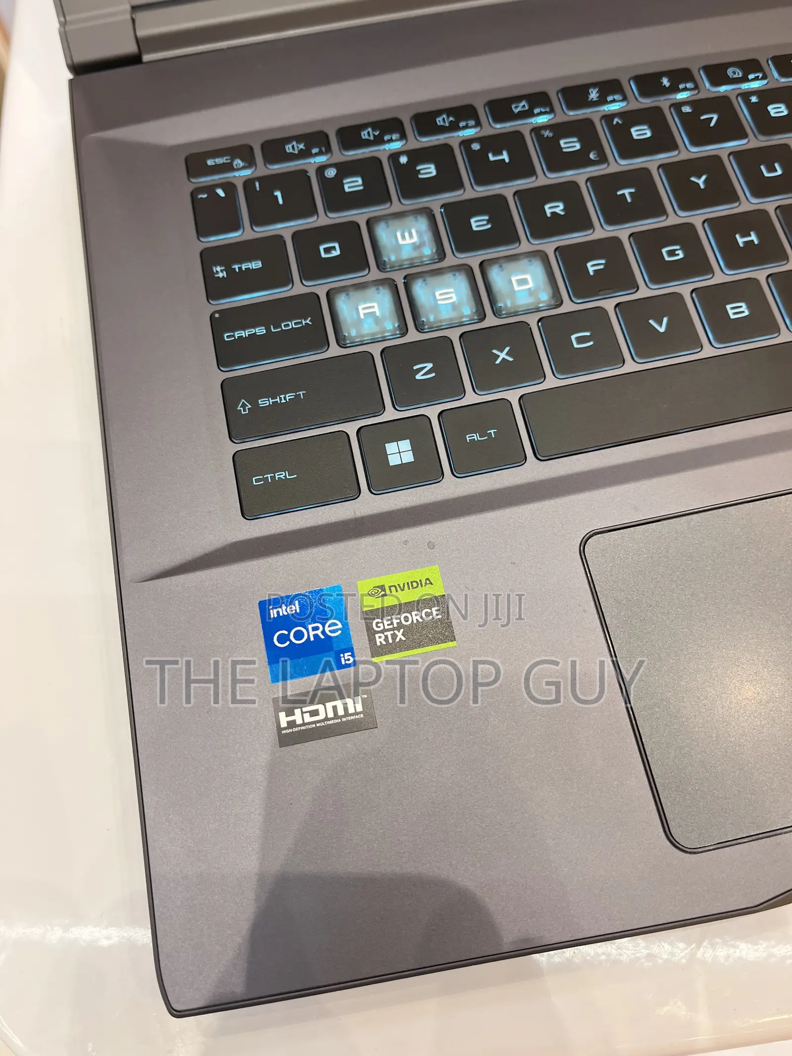 Laptop MSI GF75 Thin 16GB Intel Core i5 SSD 512GB