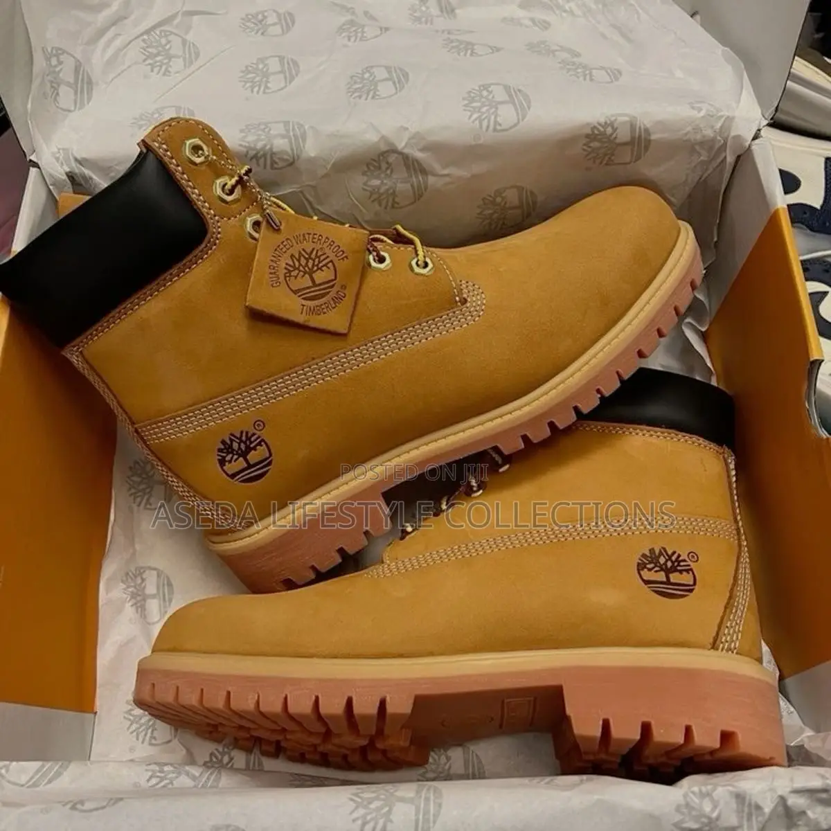 Timberland Sneakers