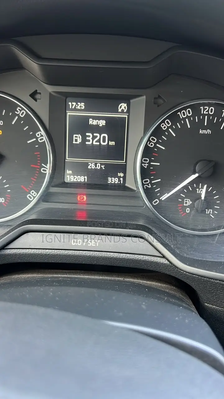 Skoda Fabia 2013 Silver