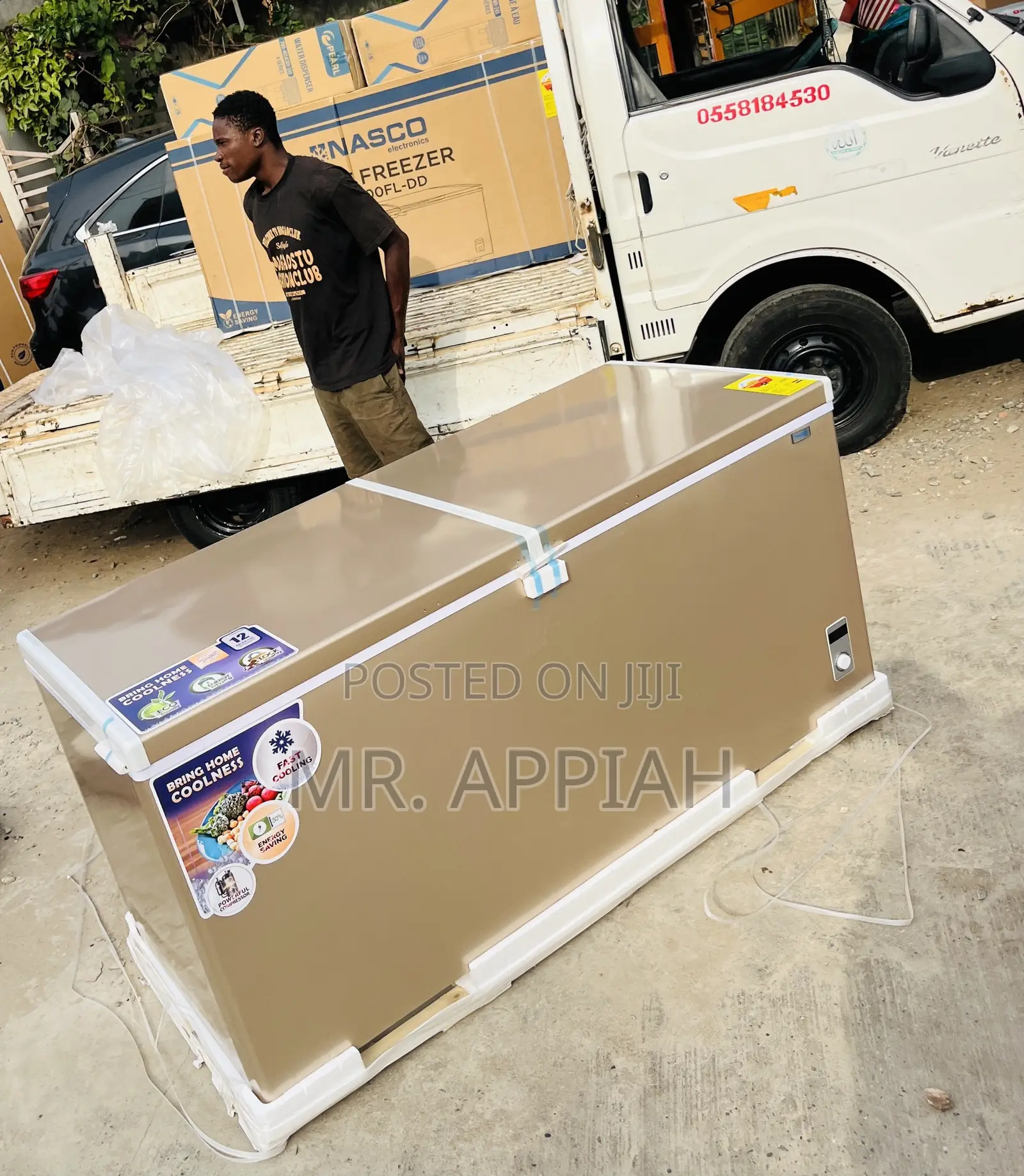 Shop Classic Nasco Nas-800fl-Dd 2 Door Chest Freezer(545L) 