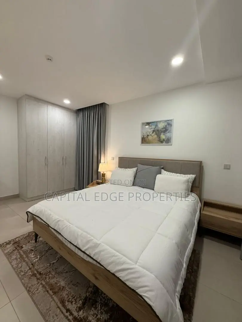 Furnished 1bdrm Apartment in Cantonments for rent