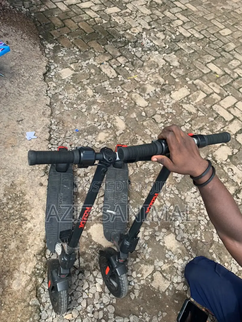 Electric Scooter
