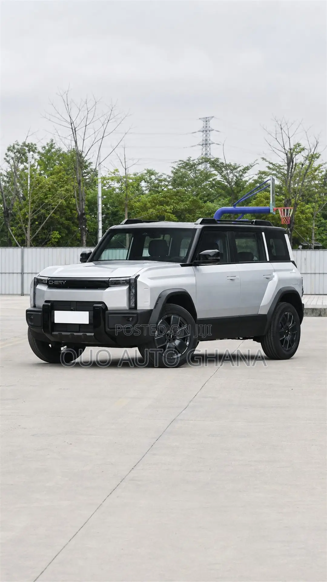 Chery Fulwin 2 2019 Gray