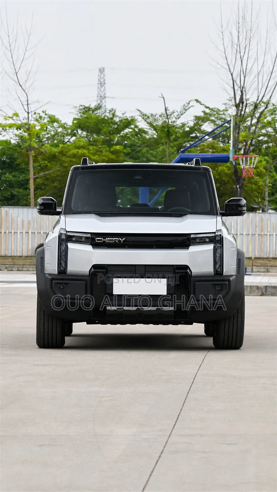 Chery Fulwin 2 2019 Gray