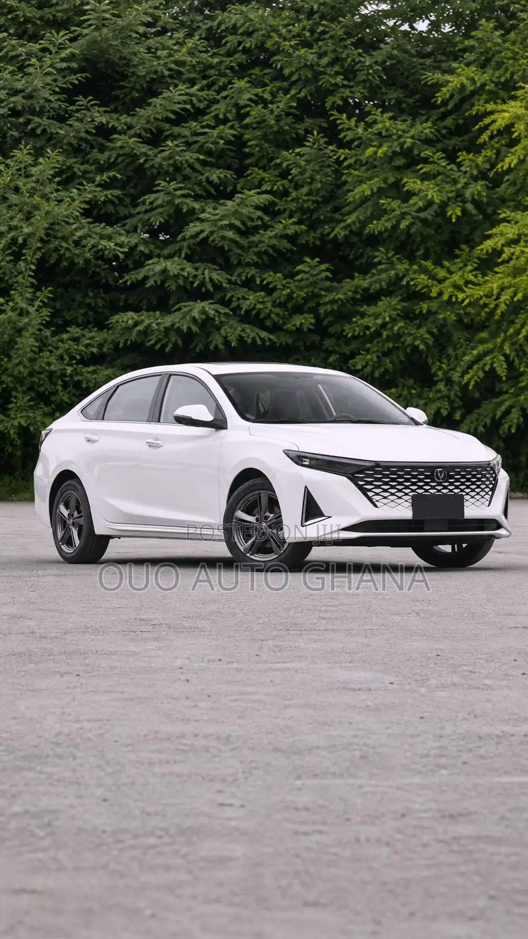 Changan Raeton 2020 White