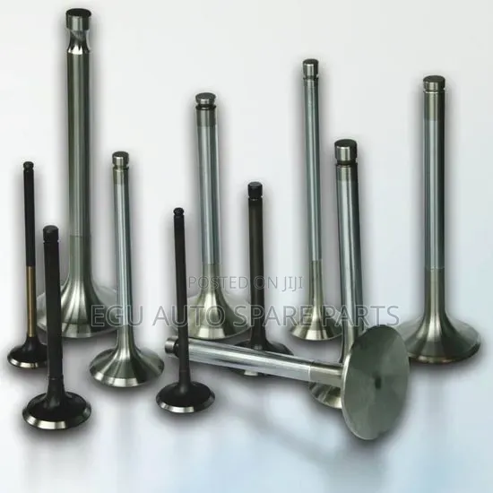 Toyota Landcruiser 1vd,2kd,2tr,5l,2l,1hz Engine Valves Available
