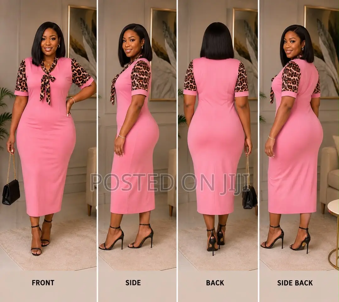 Stylish Ladies Work Party Dress