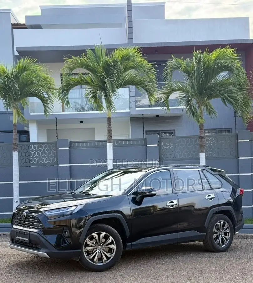 Toyota RAV4 2023 Black