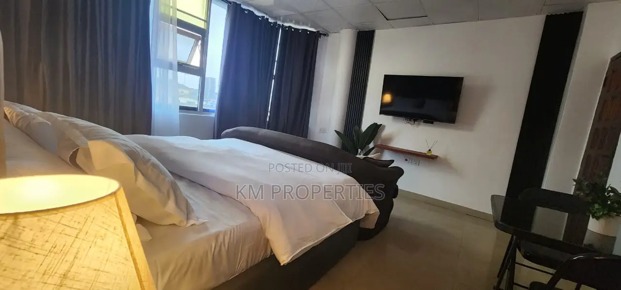 Furnished Studio Apt in Dzorwulu