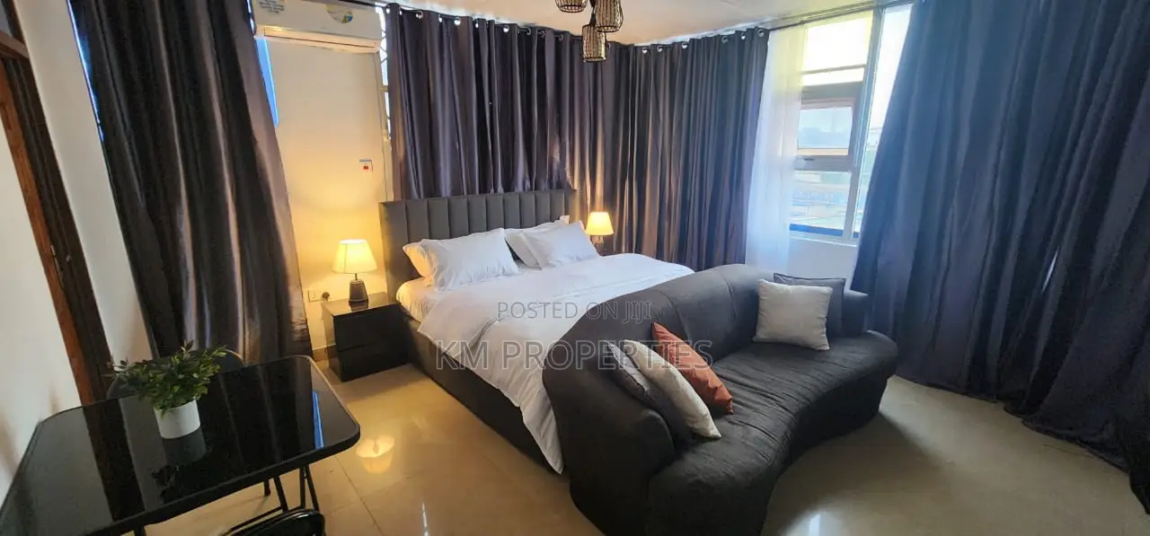 Furnished Studio Apt in Dzorwulu