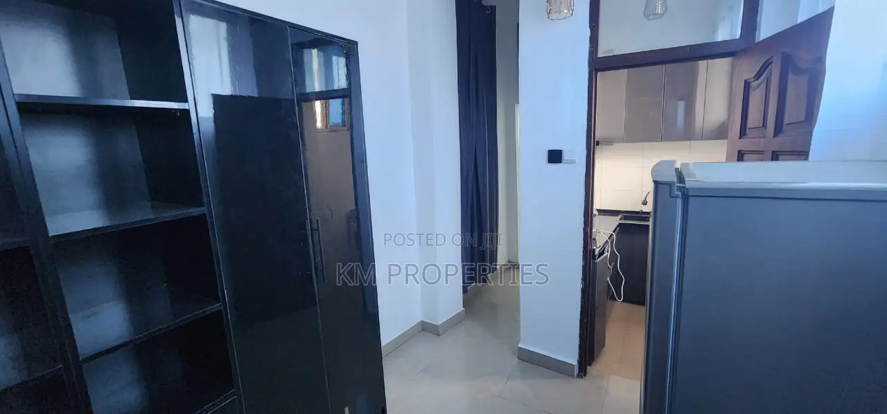 Furnished Studio Apt in Dzorwulu