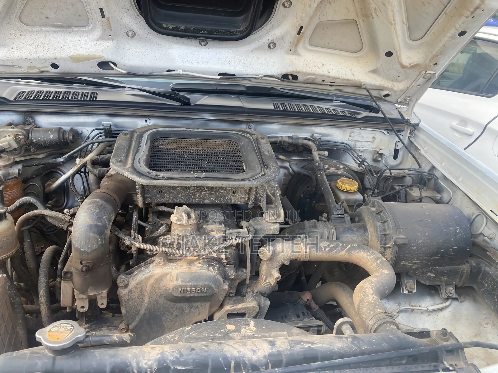 Nissan Hardbody 2019 White