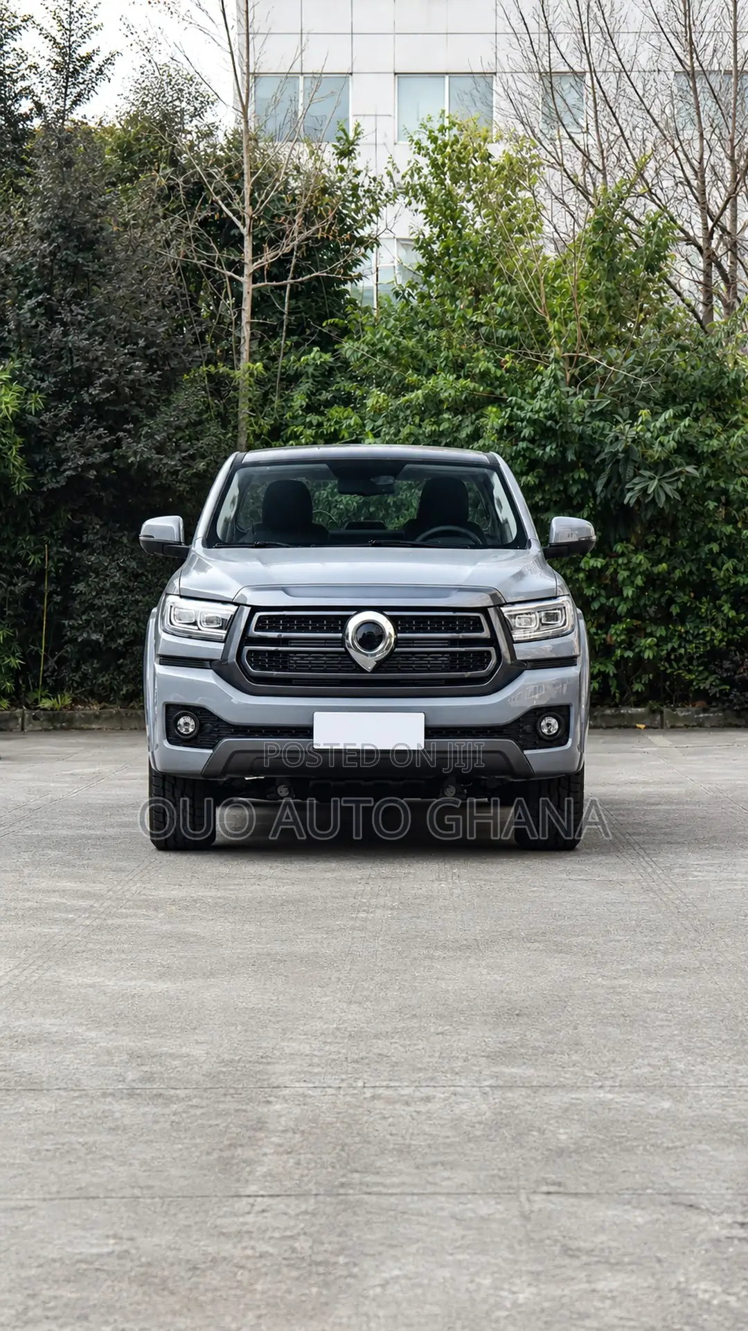 Great Wall Pao 2025 Gray