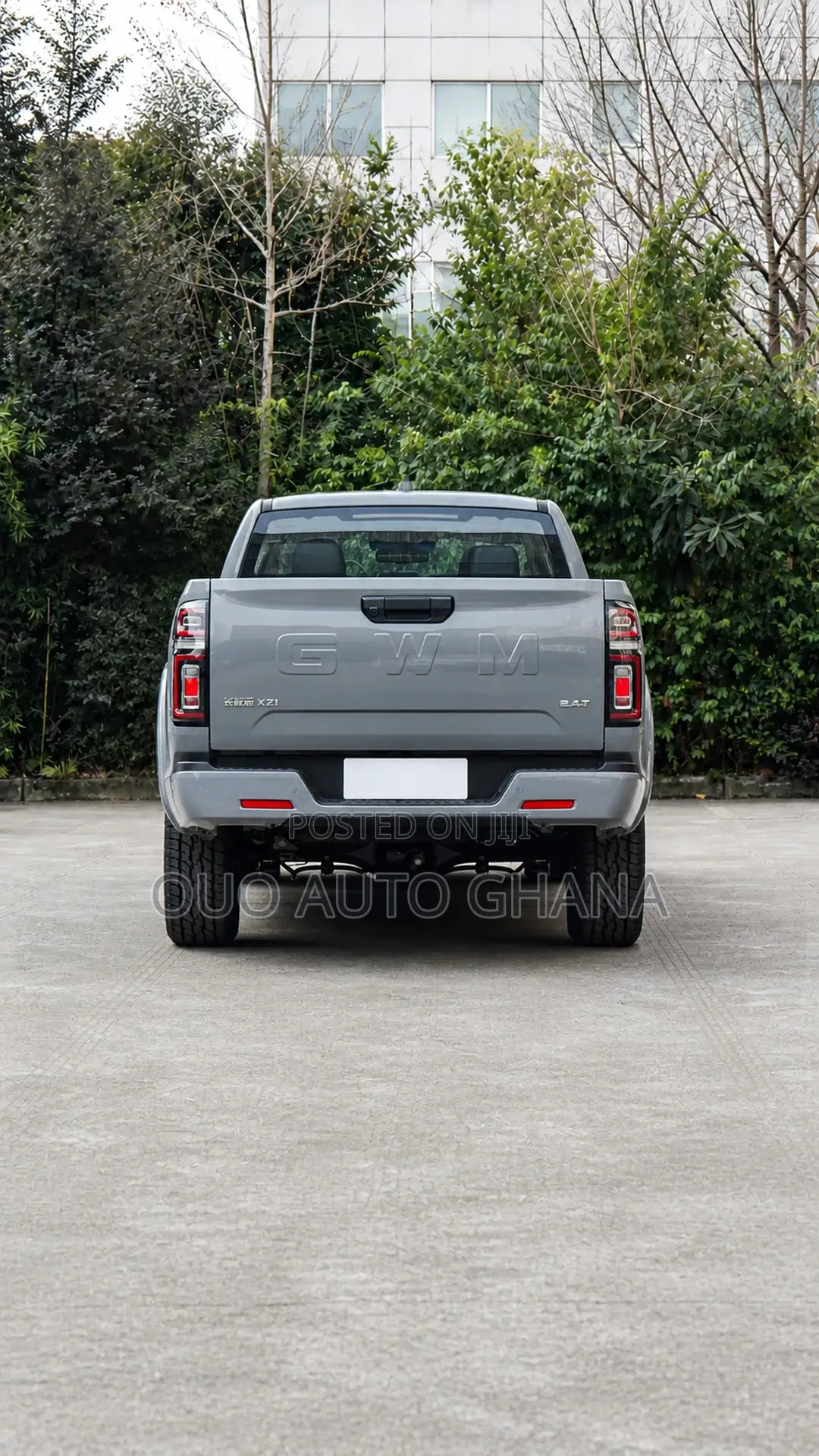 Great Wall Pao 2025 Gray