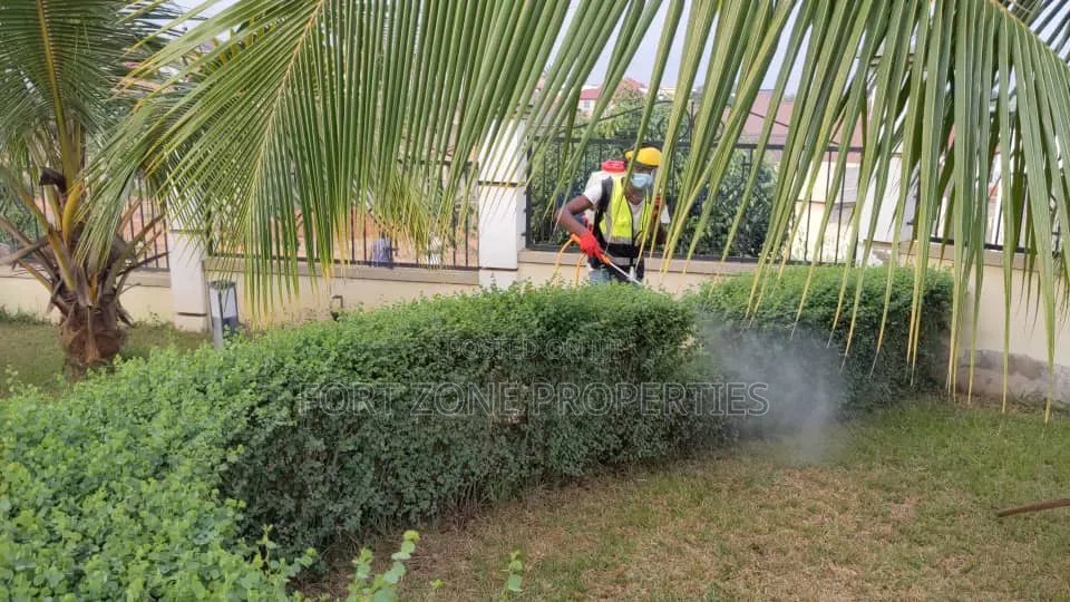 Fungicides Fumigation With Cleantex
