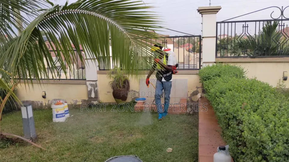 Fungicides Fumigation With Cleantex
