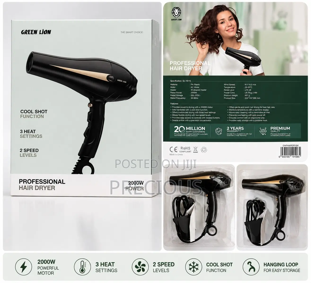 Green Lion Professional Hair Dryer