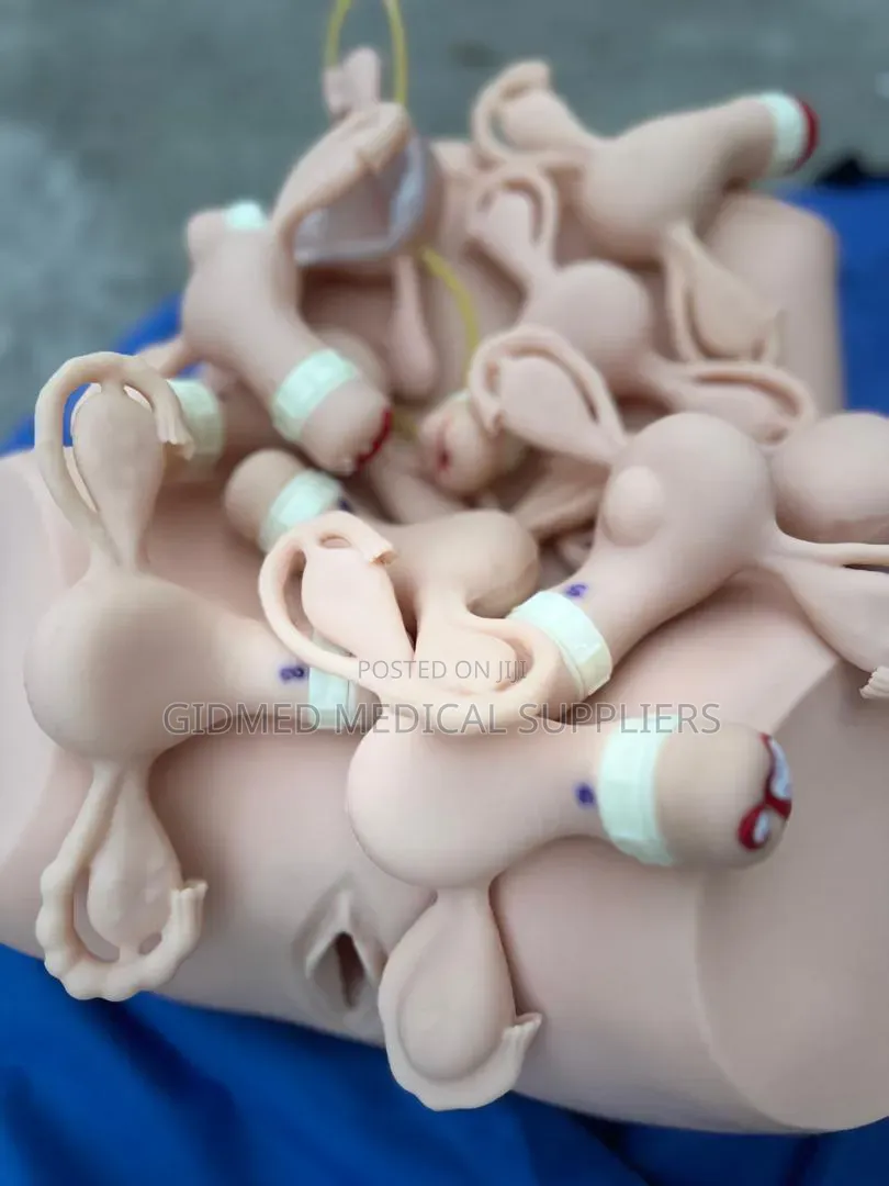 Gynaecological Training Stimulator