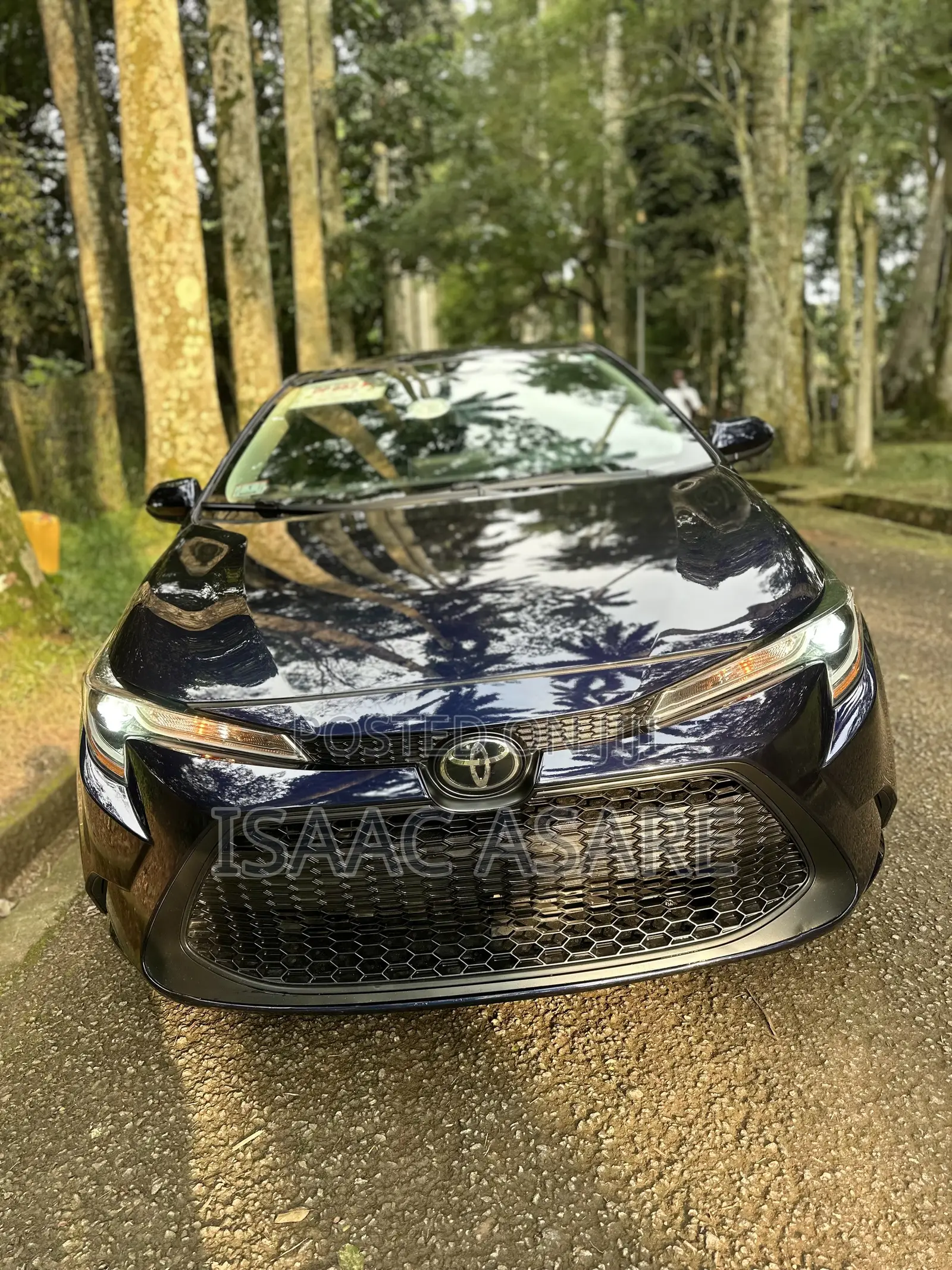 Toyota Corolla L 2020 Blue