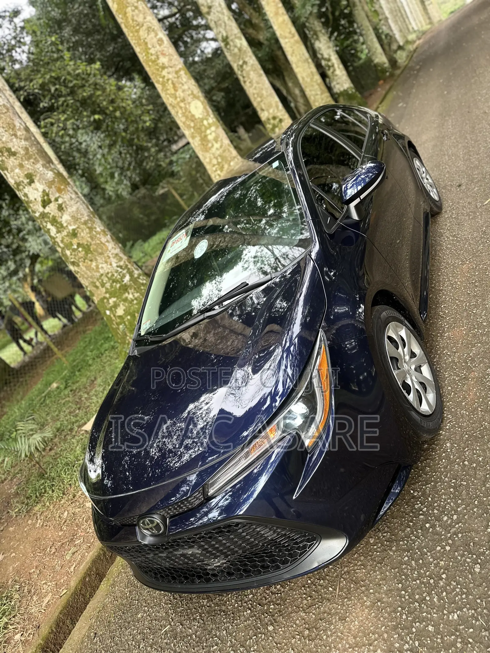 Toyota Corolla L 2020 Blue
