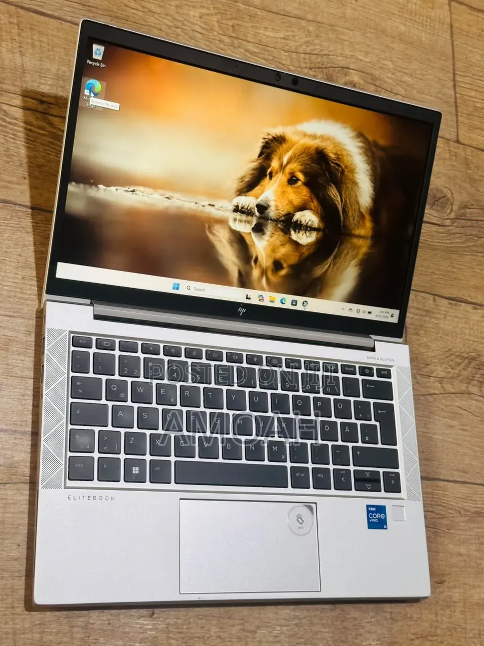 Laptop HP EliteBook 830 G8 16GB Intel Core i5 SSD 512GB