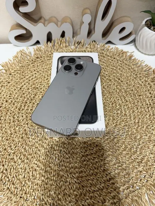 Apple iPhone 15 Pro Max 256 GB Silver