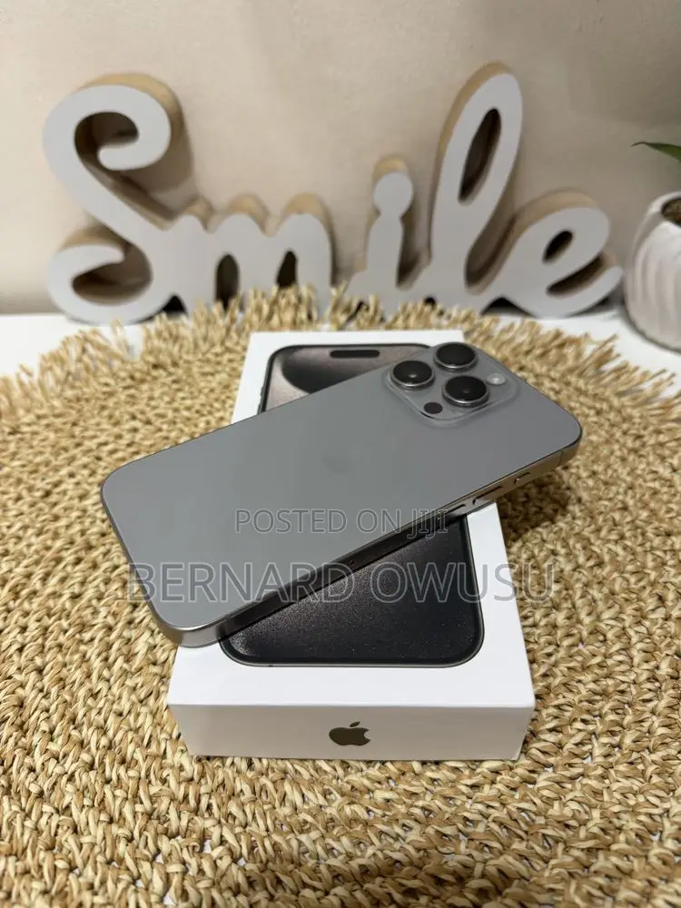 Apple iPhone 15 Pro Max 256 GB Silver