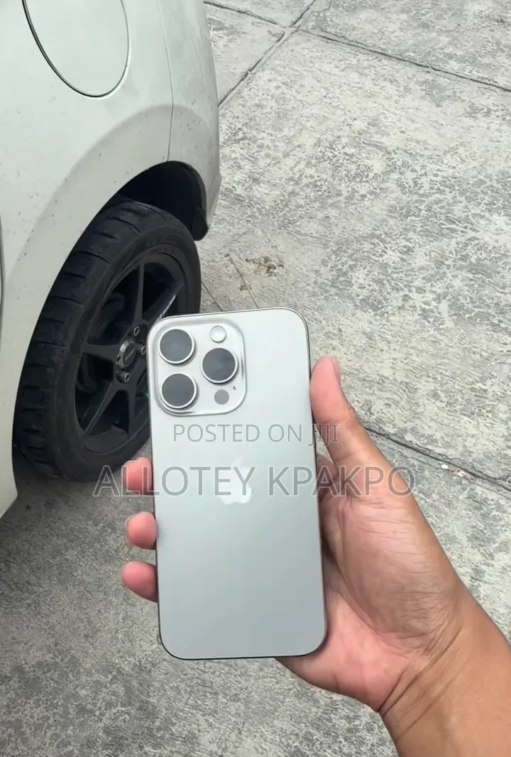 Apple iPhone 15 Pro Max 256 GB Silver