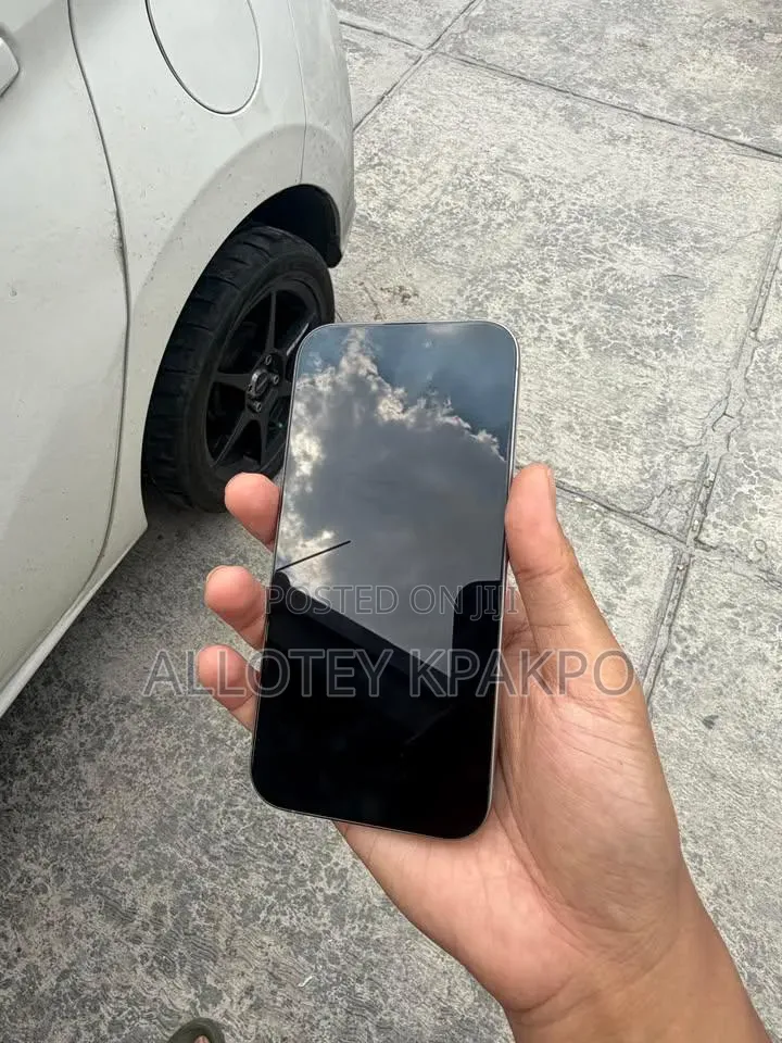 Apple iPhone 15 Pro Max 256 GB Silver