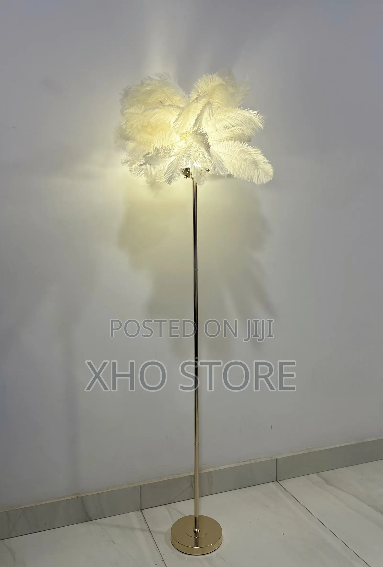 Floor Lamp (Metal) Ostrich Feather- Romantic Accent Light