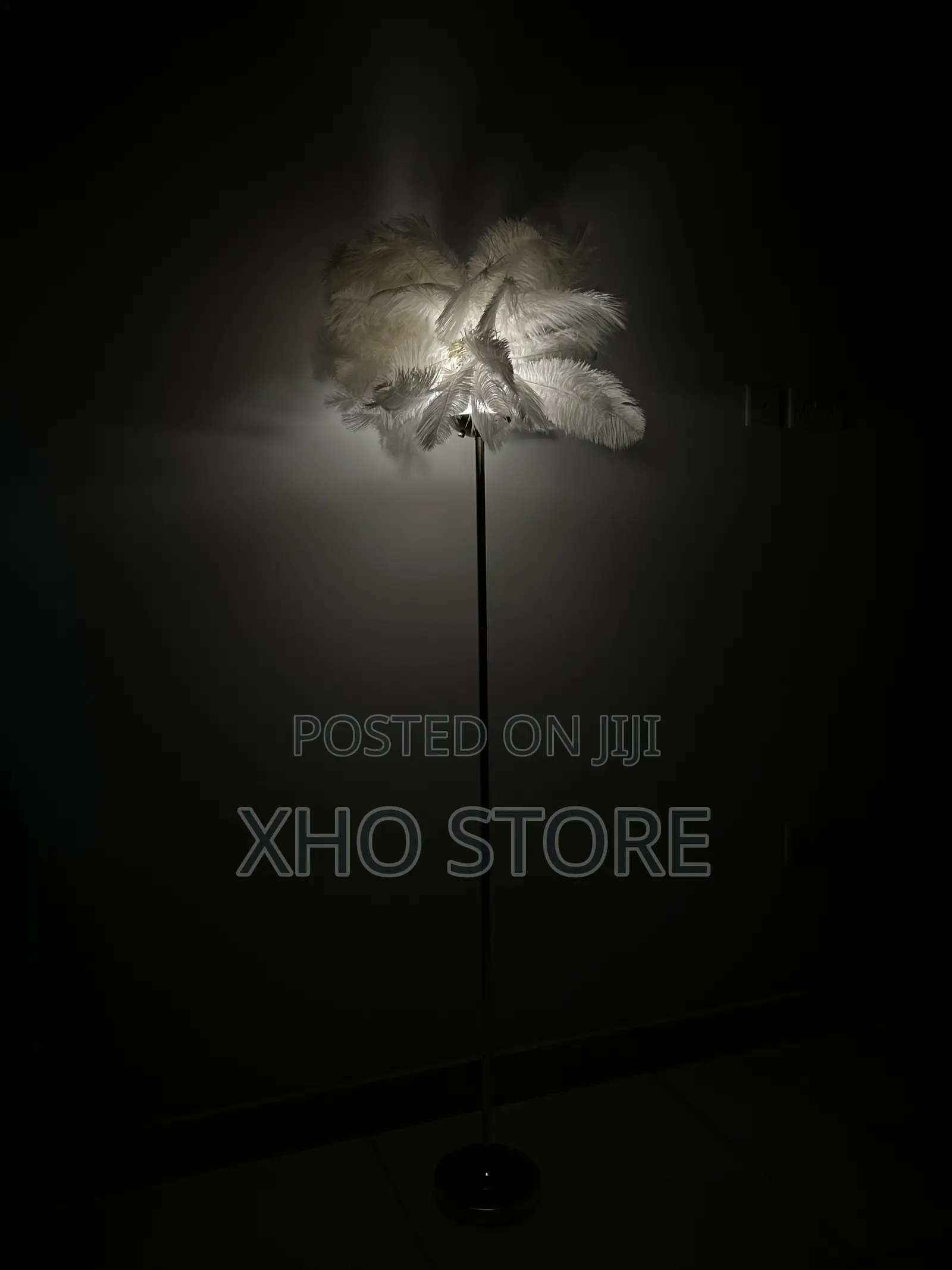 Ostrich Feather (Metal) Floor Lamp—Romantic Accent Light Rechargeable