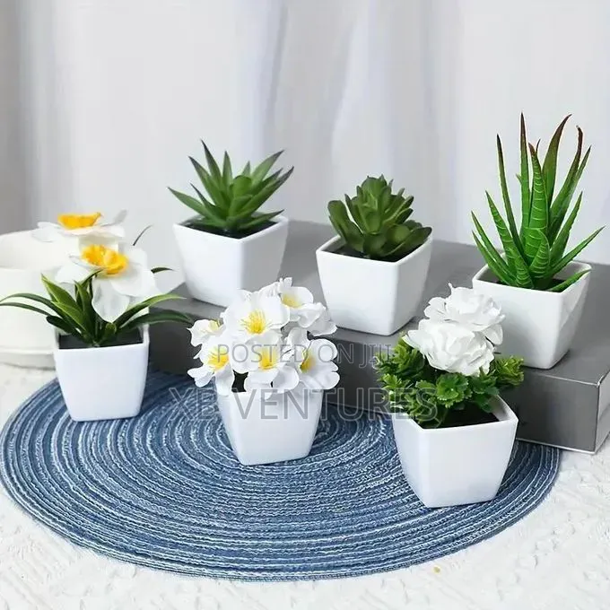 A Set of 6 Artificial Plant Bonsai, With a Realistic Feel