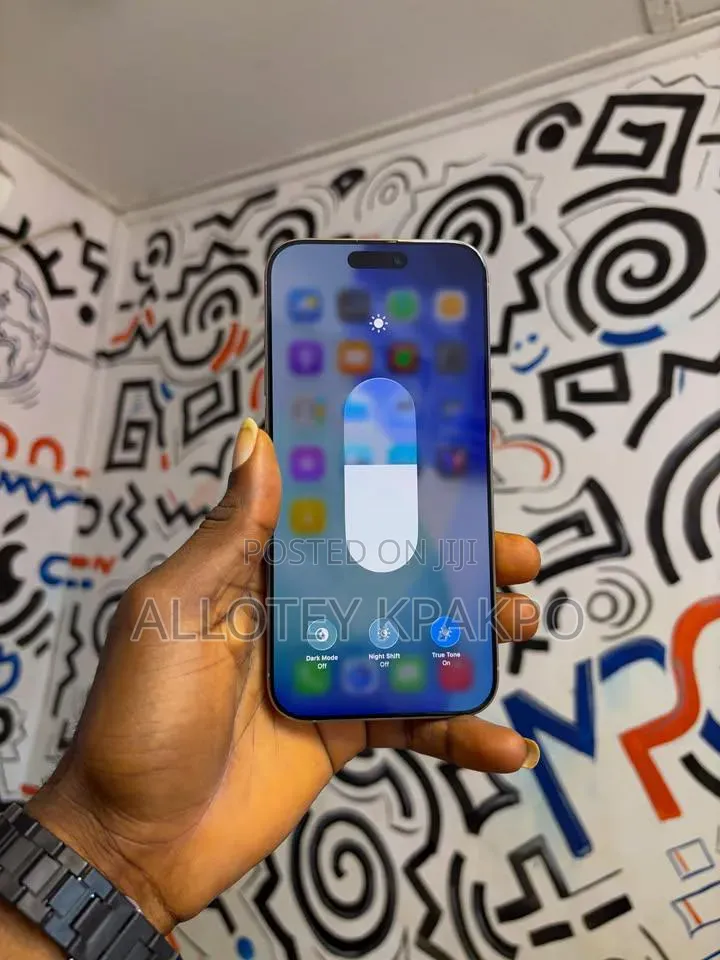 Apple iPhone 15 Pro Max 256 GB Silver