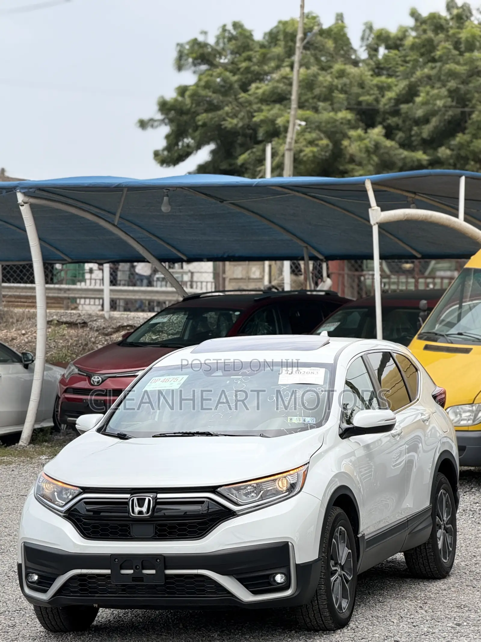 Honda CR-V EX-L 2021 White