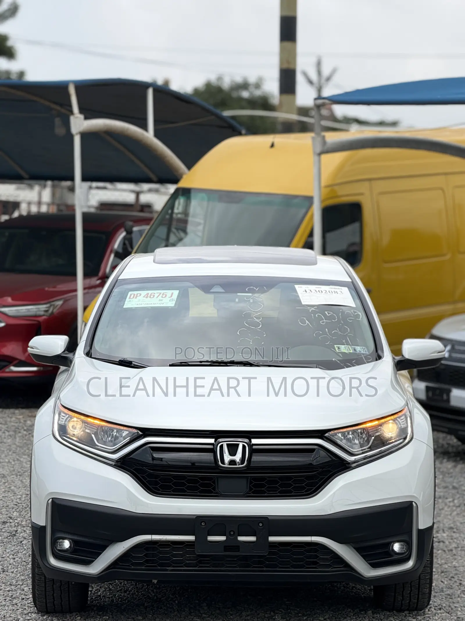 Honda CR-V EX-L 2021 White
