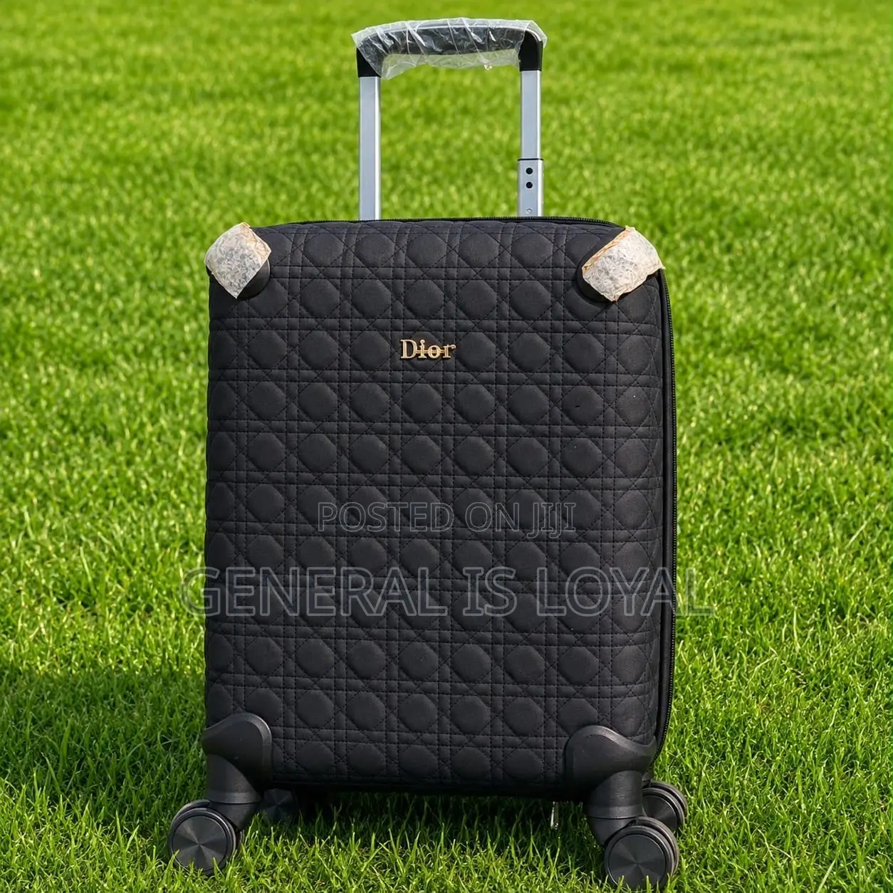 Dior 8kg Hand Luggage Traveling Bag