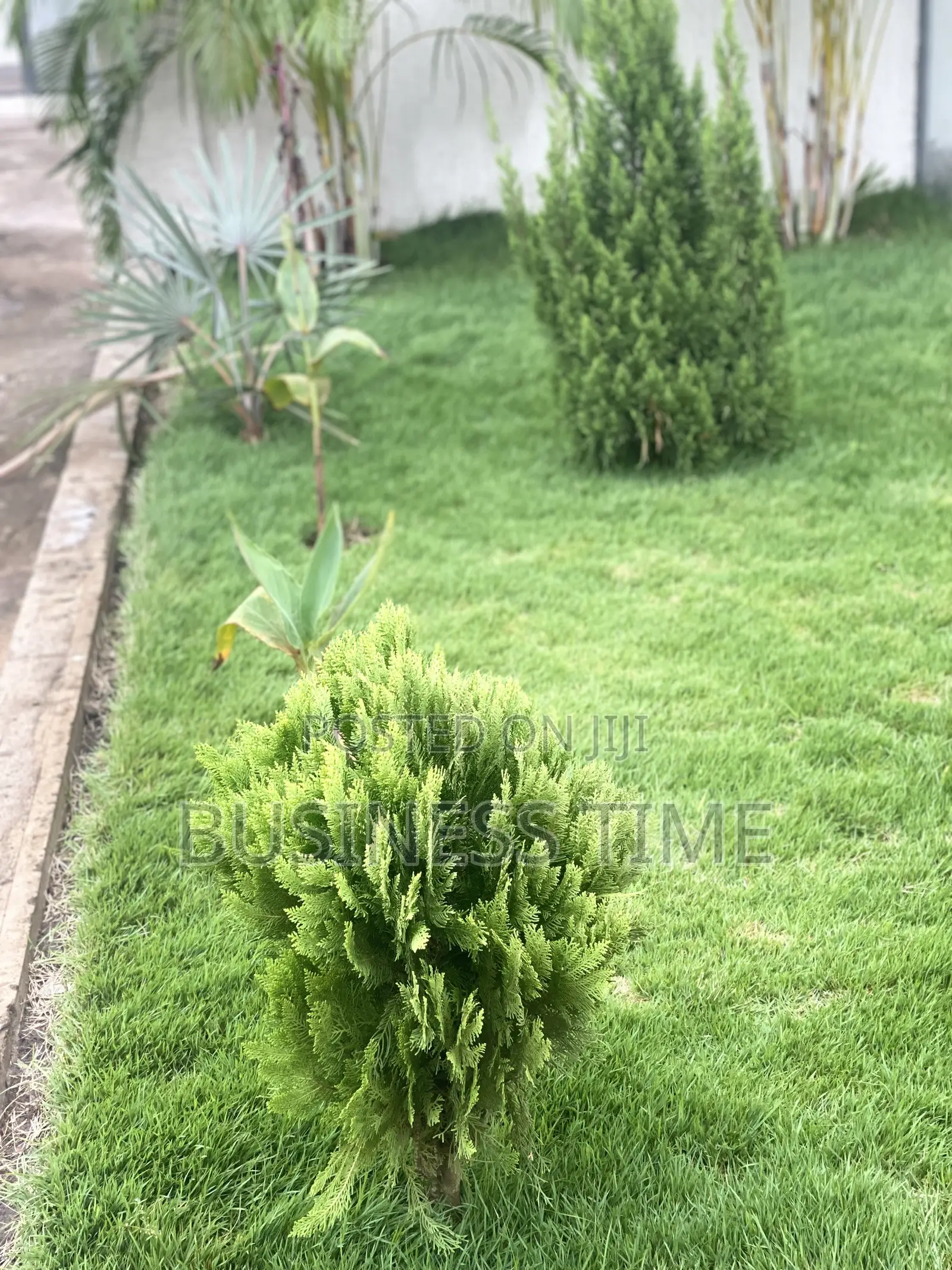 Garden and Landscaping
