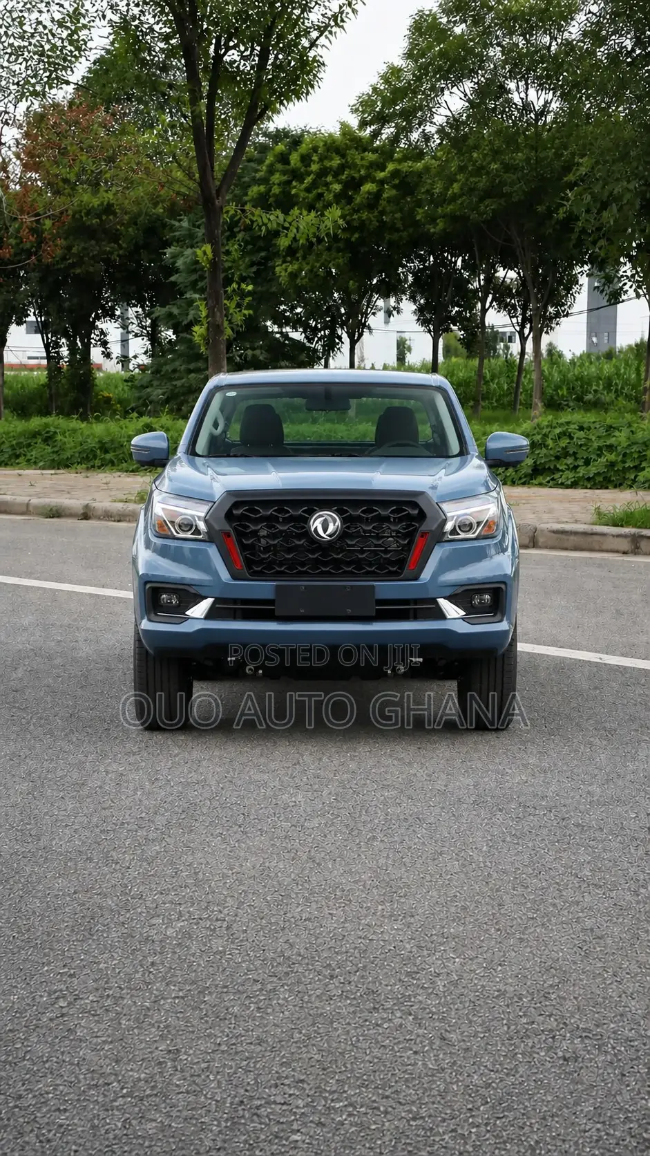 Dongfeng Rich 6 2025 Blue