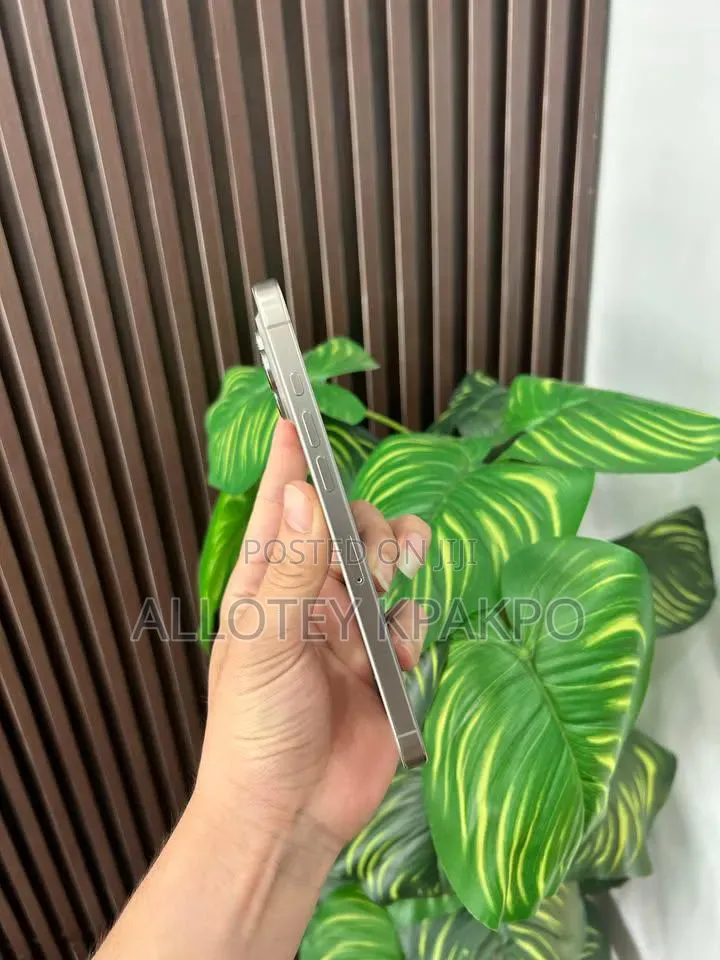 Apple iPhone 15 Pro Max 256 GB Silver
