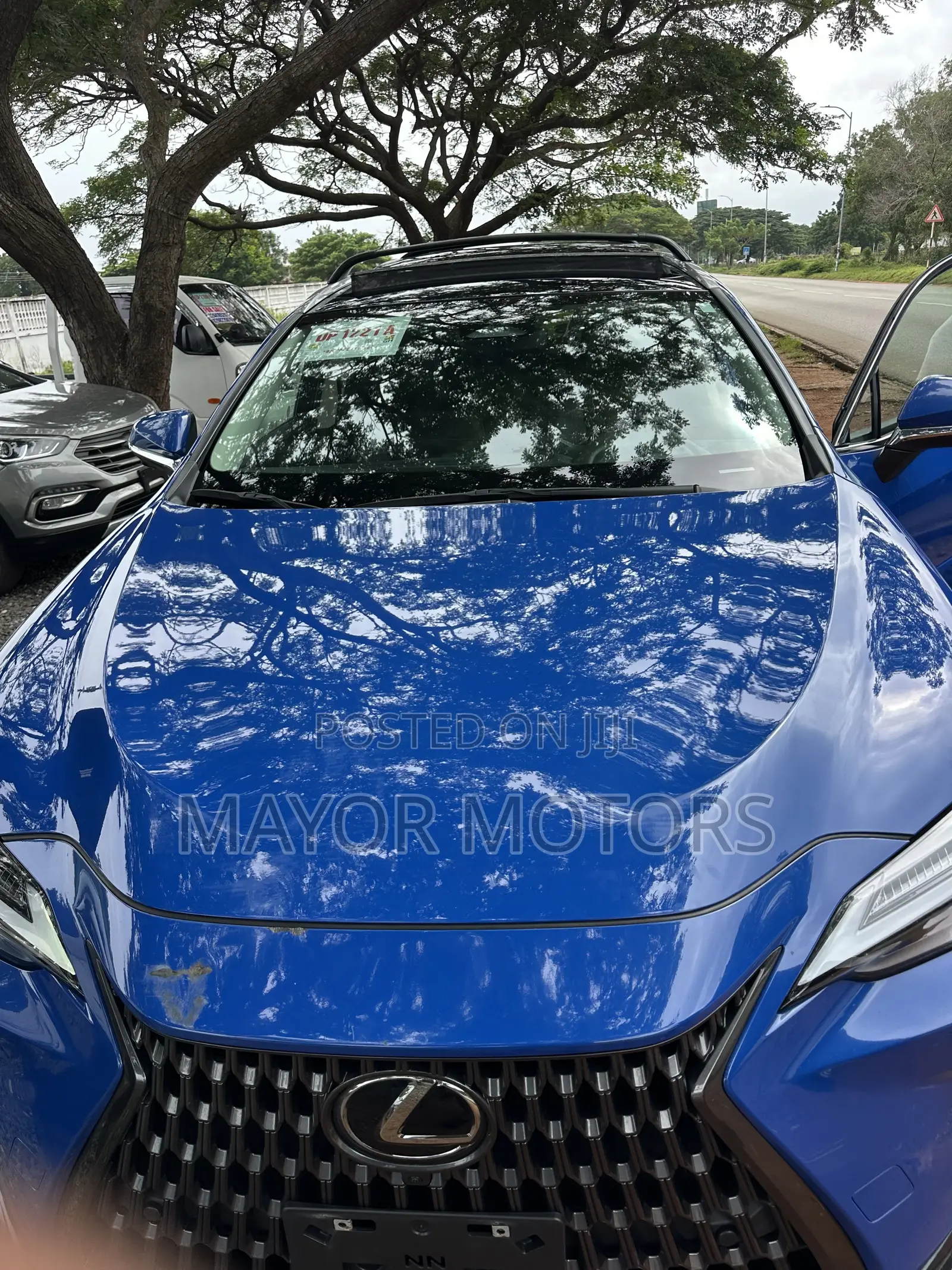 Lexus NX 350 AWD 2024 Blue