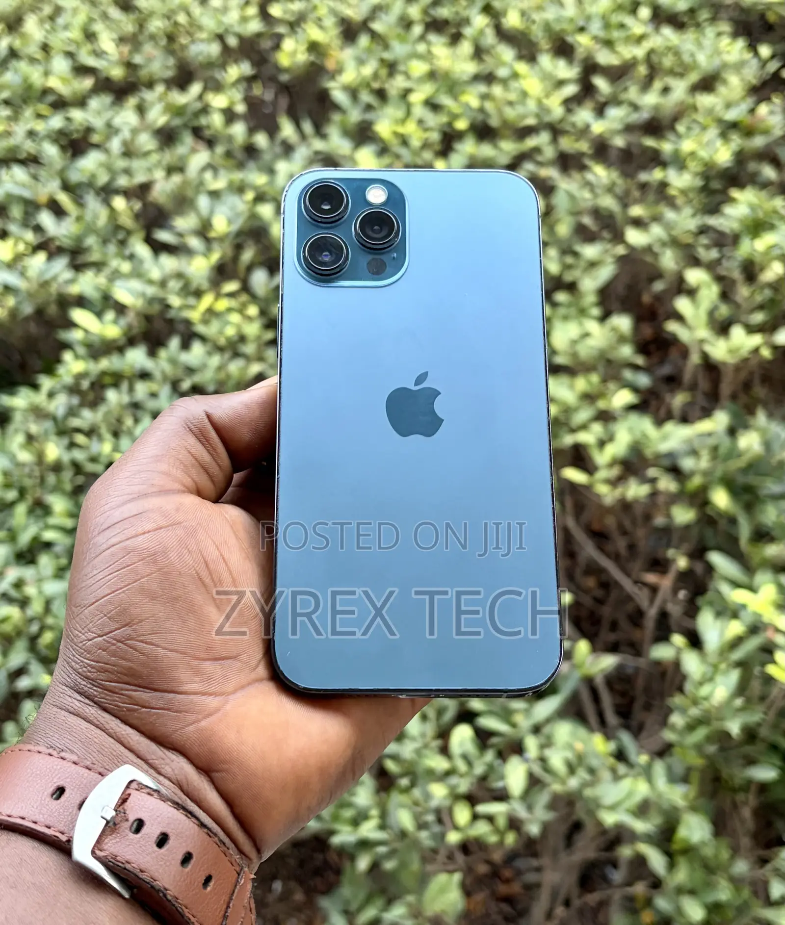 Apple iPhone 12 Pro Max 256 GB Blue