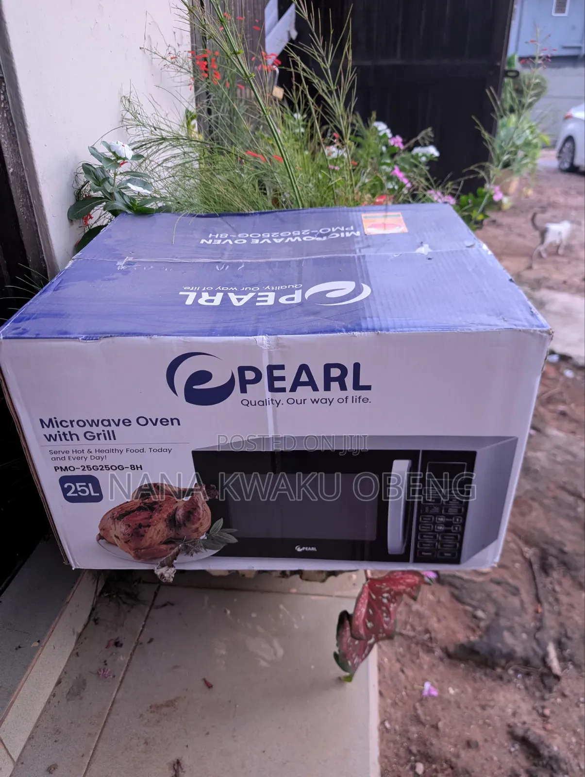 Pearl 25 Liters Microwave