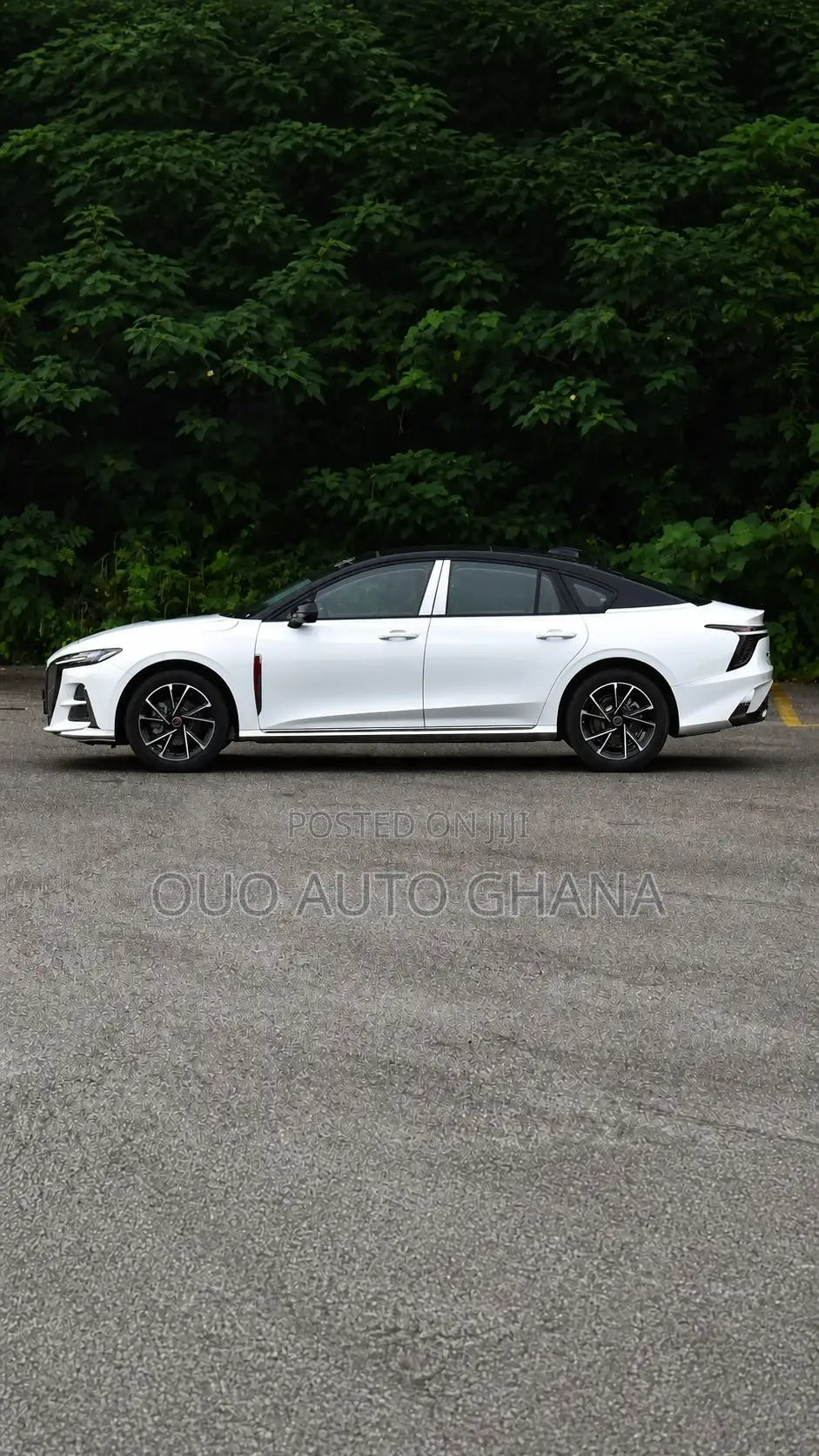 Hongqi E-HS9 2026 White