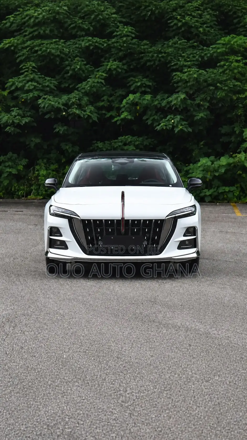 Hongqi E-HS9 2026 White