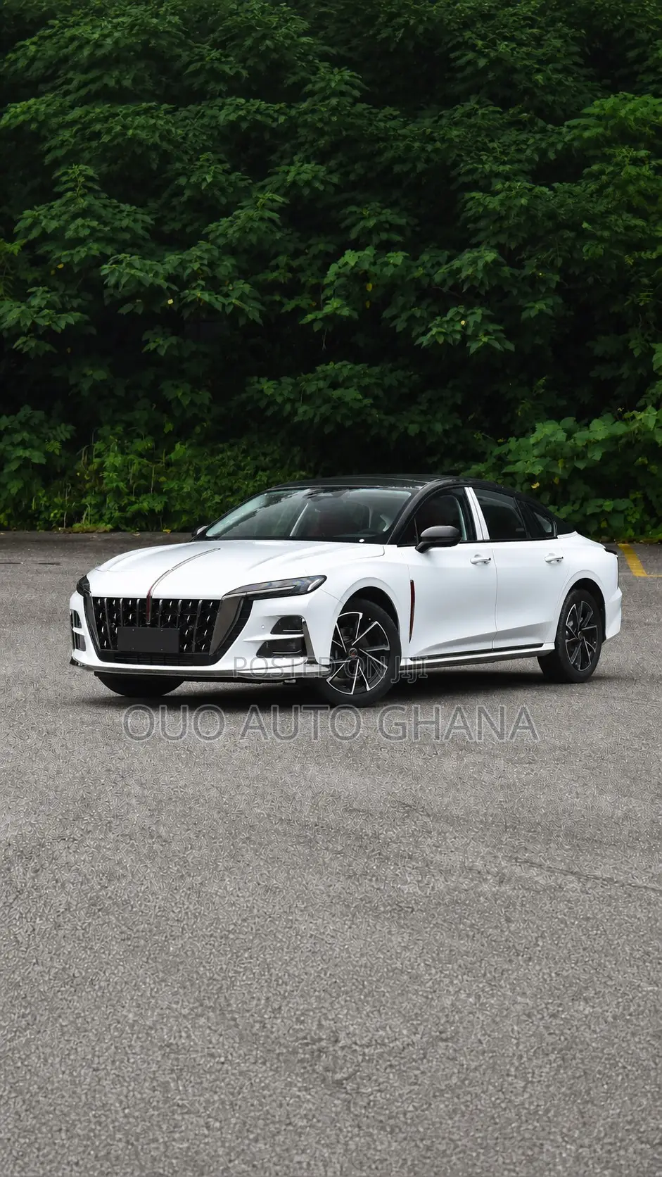 Hongqi E-HS9 2026 White