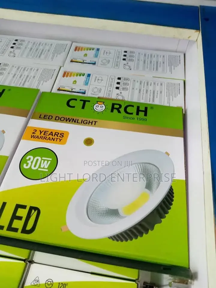 Original Ctorch Downlight 30watts