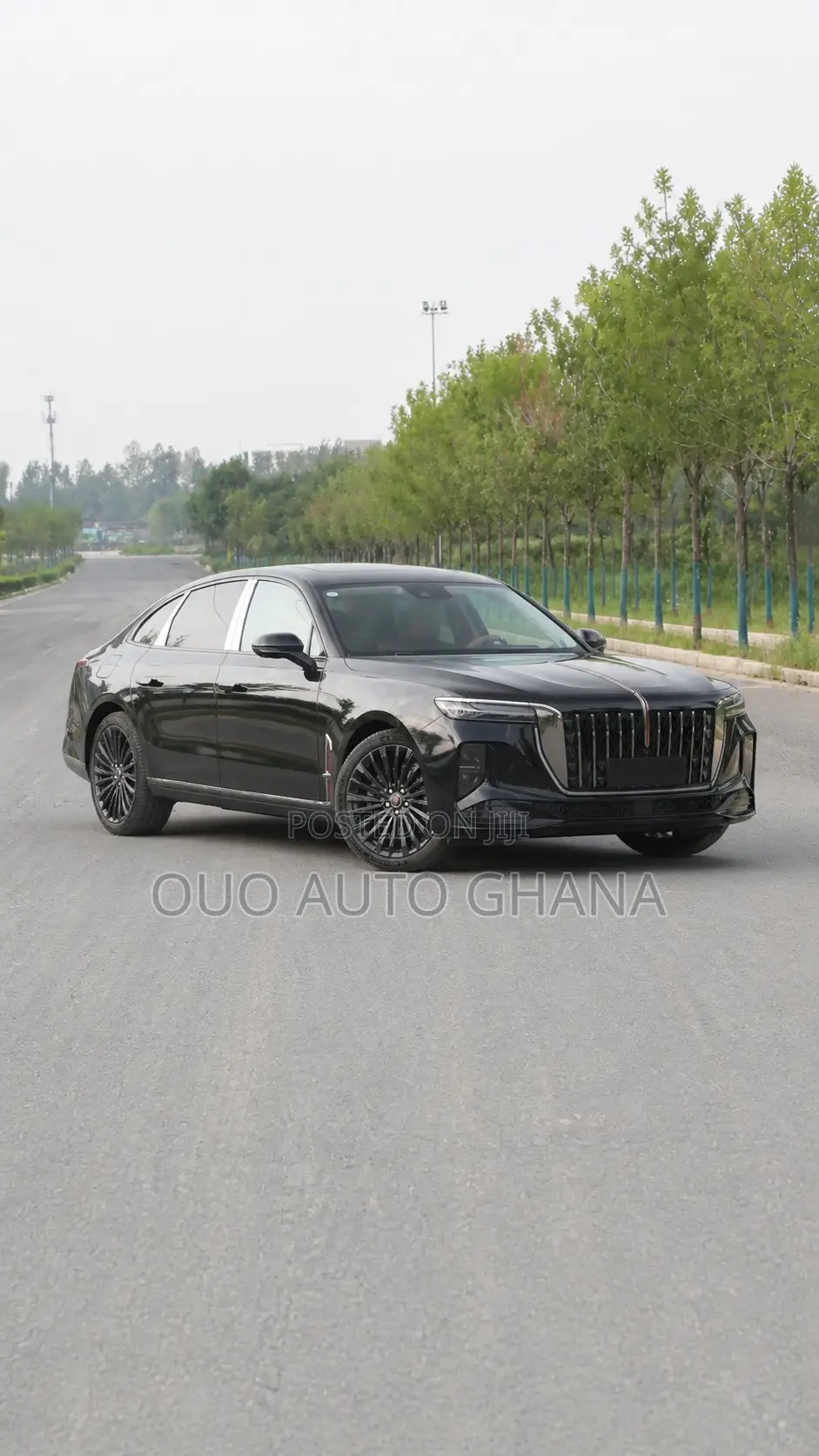 Hongqi E-HS9 2025 Black
