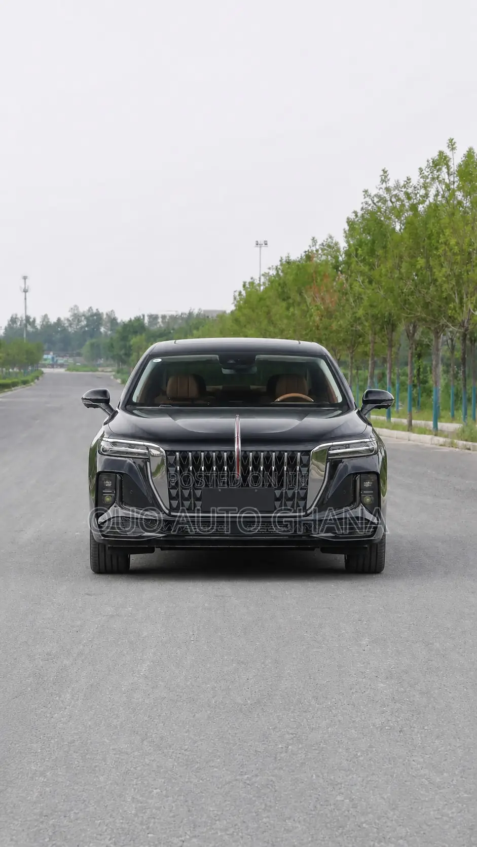 Hongqi E-HS9 2025 Black
