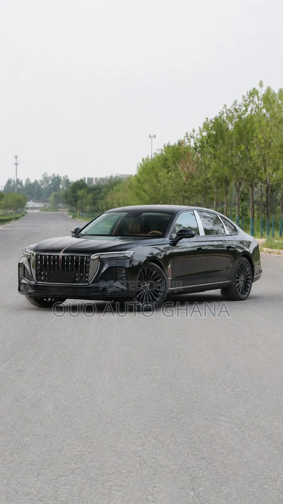 Hongqi E-HS9 2025 Black